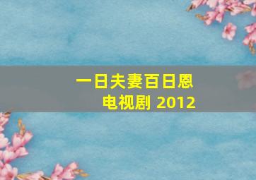 一日夫妻百日恩 电视剧 2012